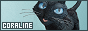 88x31